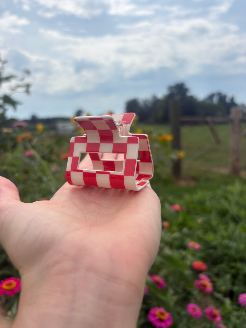 Checkered Clip