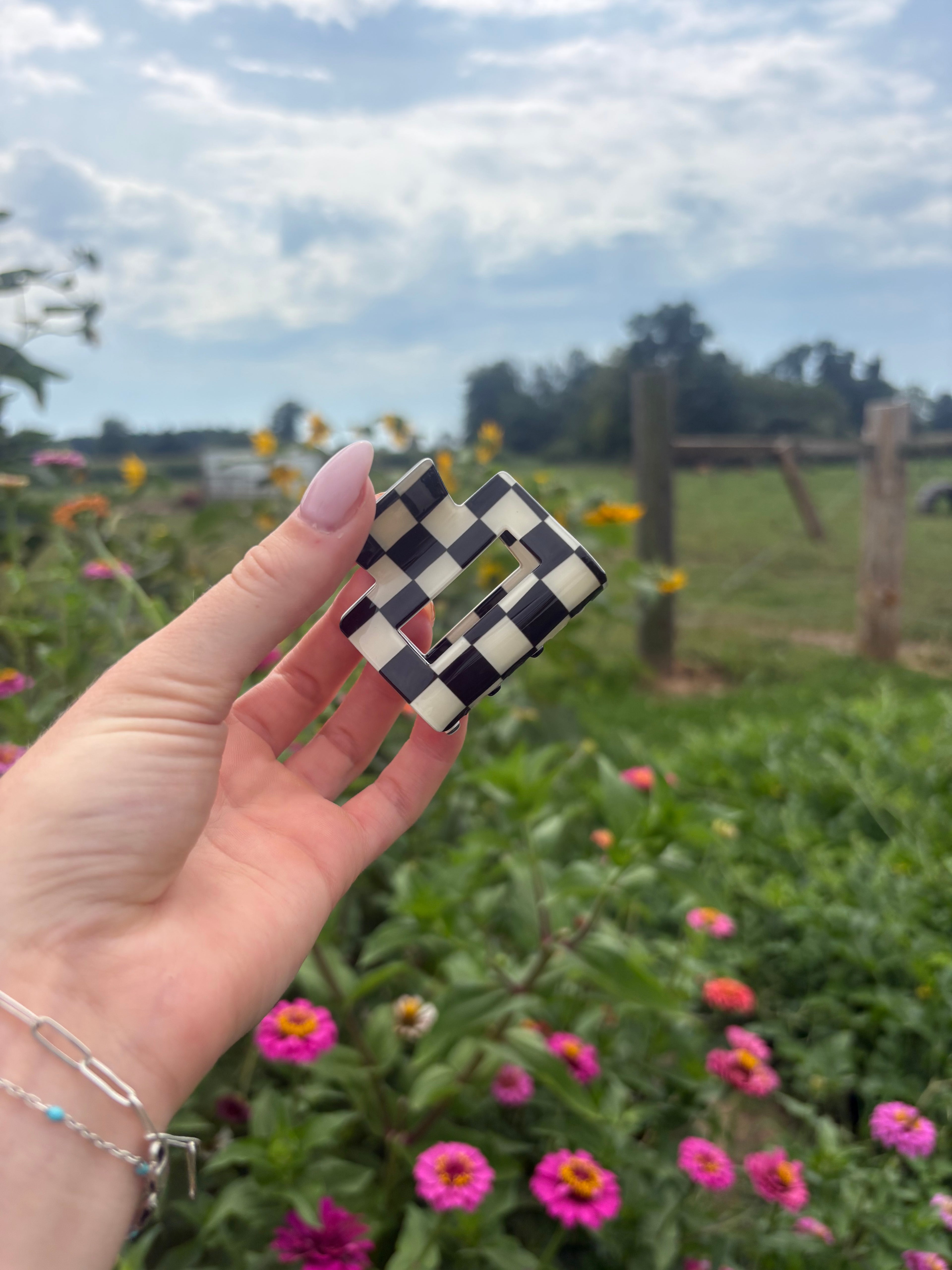 Checkered Clip
