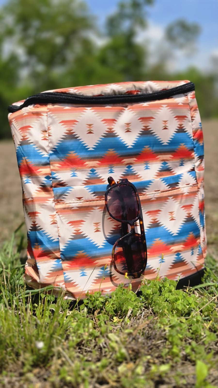 Cooler Backpack