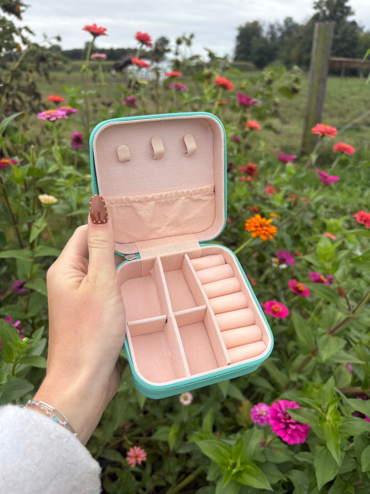 Travel Treasures Case