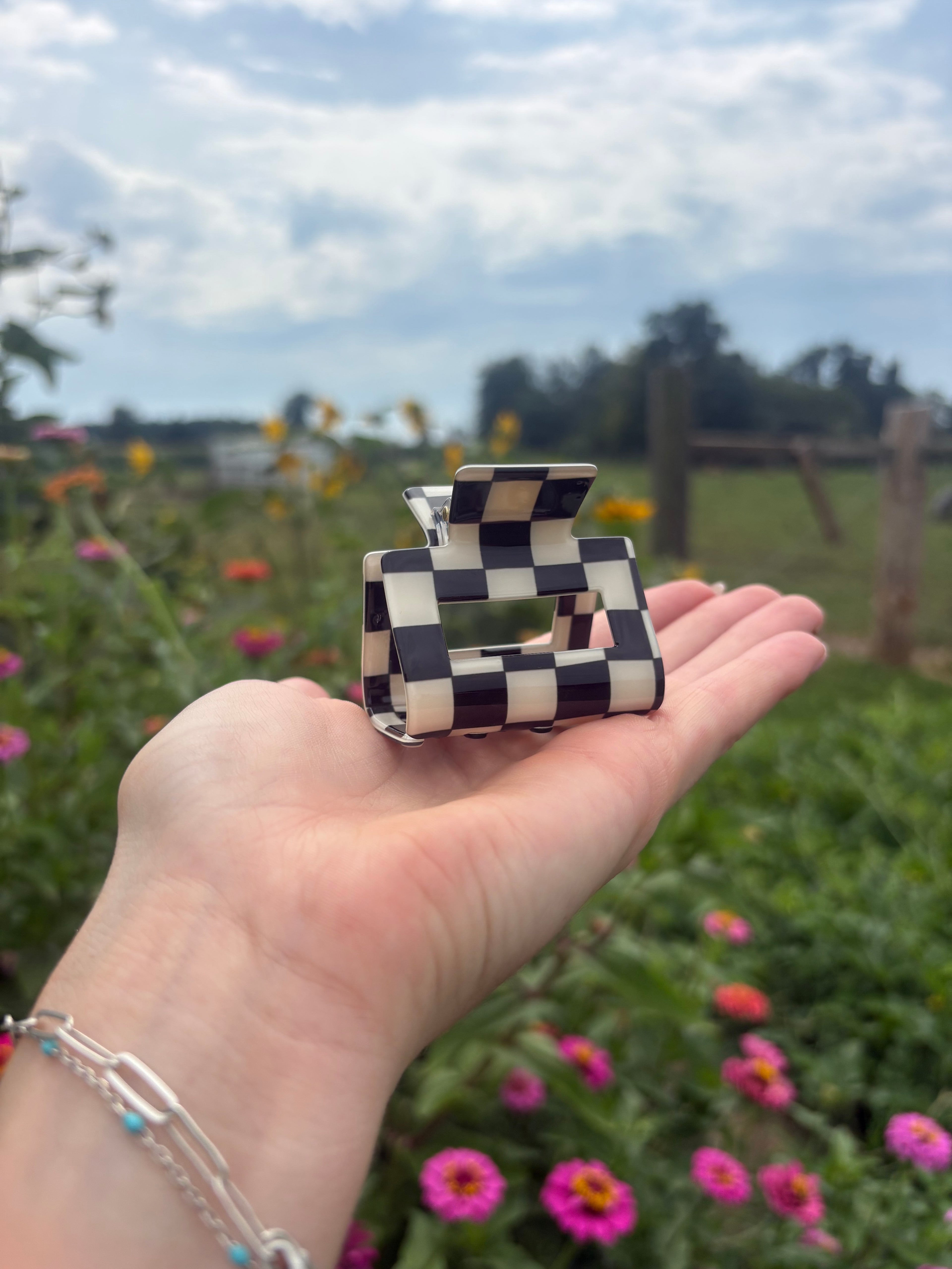 Checkered Clip
