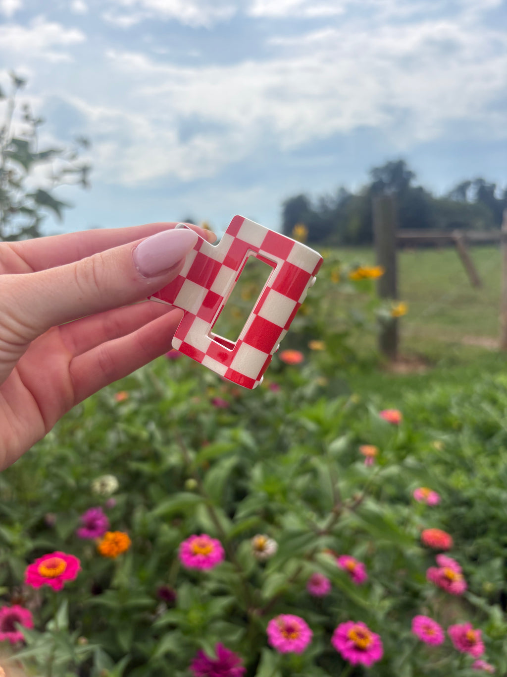 Checkered Clip