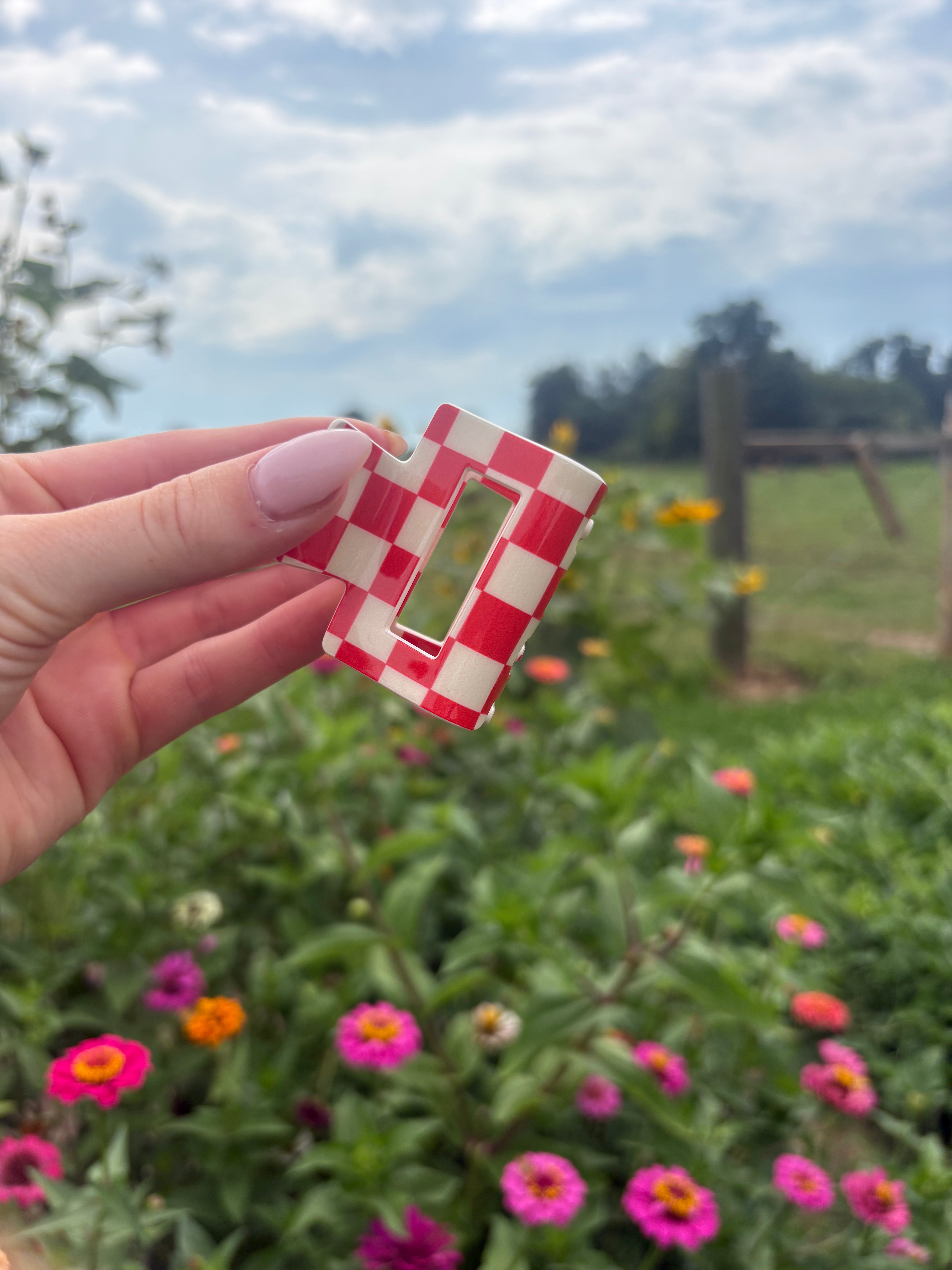 Checkered Clip