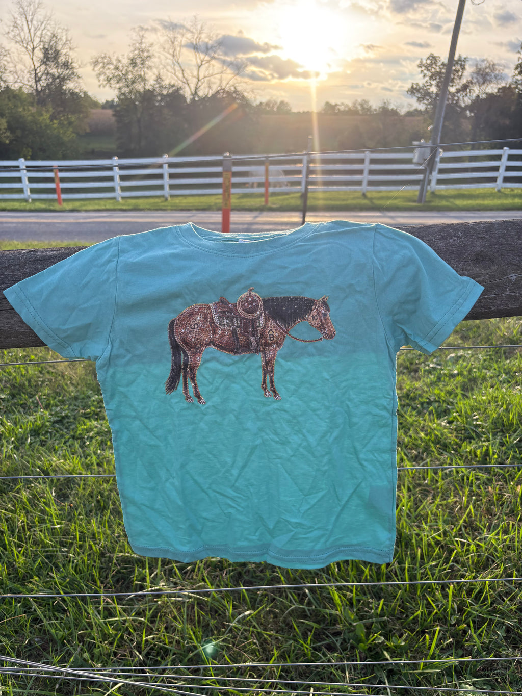 Rhinestone Cowgirl